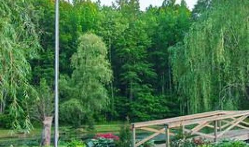 Photo #13 of 7017 MORRIS RD, SPOTSYLVANIA, VA 30.4 acres