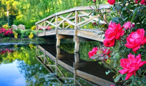 Photo #14 of 7017 MORRIS RD, SPOTSYLVANIA, VA 30.4 acres