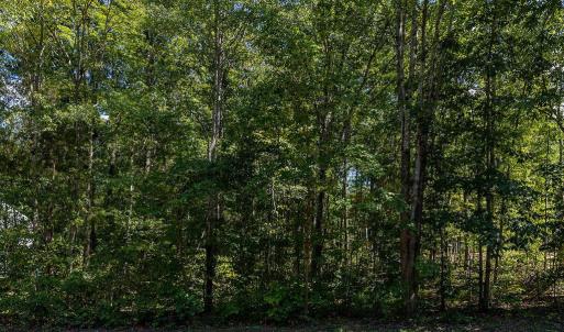Photo #3 of 1233 LAKEVIEW PKWY, LOCUST GROVE, VA 0.3 acres
