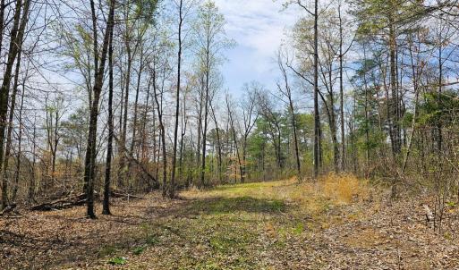 Photo #3 of AMANDA'S RIDGE LANE, CULPEPER, VA 20.2 acres