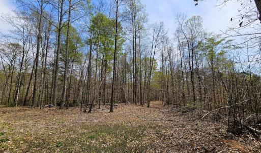 Photo #4 of AMANDA'S RIDGE LANE, CULPEPER, VA 20.2 acres
