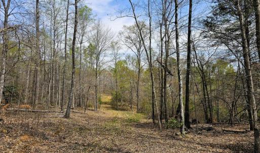 Photo #5 of AMANDA'S RIDGE LANE, CULPEPER, VA 20.2 acres