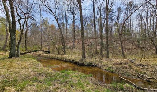 Photo #6 of AMANDA'S RIDGE LANE, CULPEPER, VA 20.2 acres