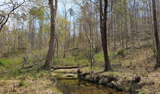 Photo #8 of AMANDA'S RIDGE LANE, CULPEPER, VA 20.2 acres