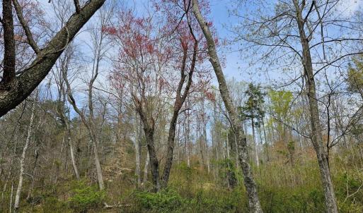 Photo #9 of AMANDA'S RIDGE LANE, CULPEPER, VA 20.2 acres