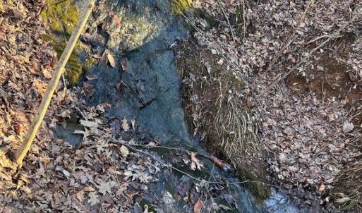Photo #10 of 14285 WOODS VIEW LN, REVA, VA 10.1 acres