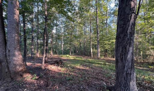 Photo #3 of 14285 WOODS VIEW LN, REVA, VA 10.1 acres