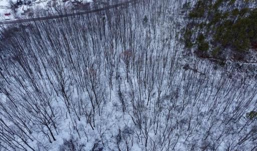 Photo #9 of CUBBAGE HOLLOW RD, LOT 75 - 40.55 ACRES, STANLEY, VA 40.6 acres