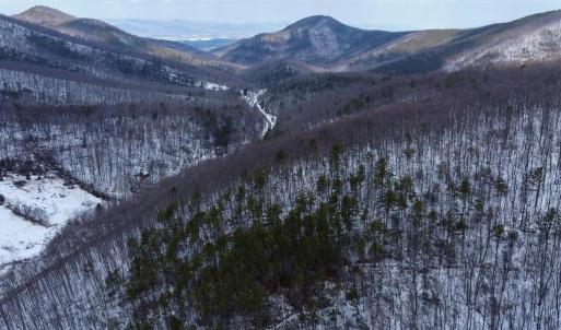 Photo #10 of CUBBAGE HOLLOW RD, LOT 75 - 40.55 ACRES, STANLEY, VA 40.6 acres