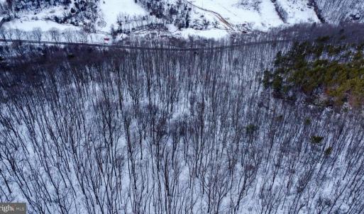 Photo #14 of CUBBAGE HOLLOW RD, LOT 75 - 40.55 ACRES, STANLEY, VA 40.6 acres