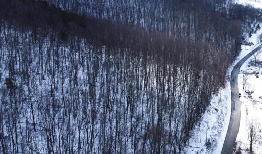 Photo #22 of CUBBAGE HOLLOW RD, LOT 75 - 40.55 ACRES, STANLEY, VA 40.6 acres