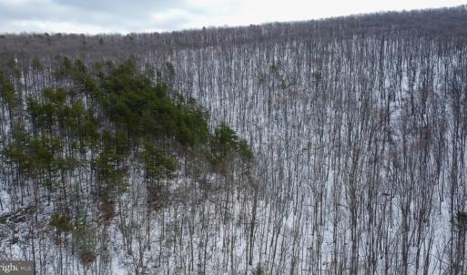 Photo #3 of CUBBAGE HOLLOW RD, LOT 75 - 40.55 ACRES, STANLEY, VA 40.6 acres