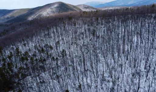 Photo #11 of CUBBAGE HOLLOW RD, LOT 75 - 40.55 ACRES, STANLEY, VA 40.6 acres