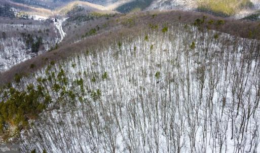 Photo #13 of CUBBAGE HOLLOW RD, LOT 75 - 40.55 ACRES, STANLEY, VA 40.6 acres