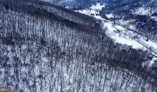 Photo #16 of CUBBAGE HOLLOW RD, LOT 75 - 40.55 ACRES, STANLEY, VA 40.6 acres