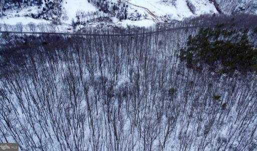 Photo #17 of CUBBAGE HOLLOW RD, LOT 75 - 40.55 ACRES, STANLEY, VA 40.6 acres