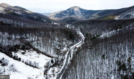 Photo #18 of CUBBAGE HOLLOW RD, LOT 75 - 40.55 ACRES, STANLEY, VA 40.6 acres