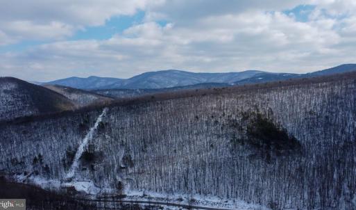 Photo #20 of CUBBAGE HOLLOW RD, LOT 75 - 40.55 ACRES, STANLEY, VA 40.6 acres