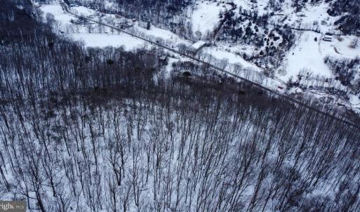 Photo #28 of CUBBAGE HOLLOW RD, LOT 75 - 40.55 ACRES, STANLEY, VA 40.6 acres