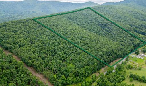 Photo #2 of CUBBAGE HOLLOW RD, LOT 75 - 40.55 ACRES, STANLEY, VA 40.6 acres