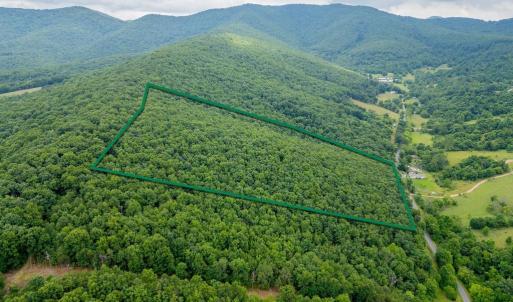 Photo #3 of CUBBAGE HOLLOW RD, LOT 75 - 40.55 ACRES, STANLEY, VA 40.6 acres