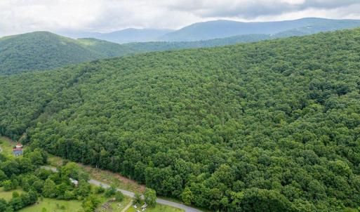 Photo #8 of CUBBAGE HOLLOW RD, LOT 75 - 40.55 ACRES, STANLEY, VA 40.6 acres