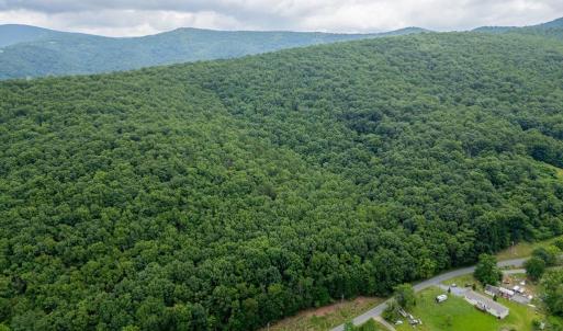 Photo #4 of CUBBAGE HOLLOW RD, LOT 75 - 40.55 ACRES, STANLEY, VA 40.6 acres