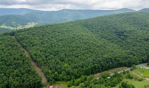 Photo #10 of CUBBAGE HOLLOW RD, LOT 75 - 40.55 ACRES, STANLEY, VA 40.6 acres