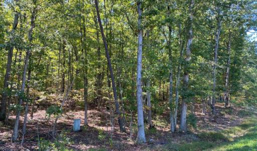 Photo #4 of CONSTITUTION HWY, LOCUST GROVE, VA 20.3 acres