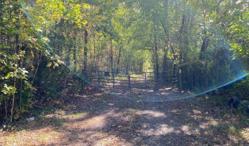 Photo #5 of CONSTITUTION HWY, LOCUST GROVE, VA 20.3 acres