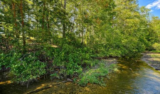 Photo #11 of 15515 CHESTNUT TREE CT, MINERAL, VA 1.1 acres