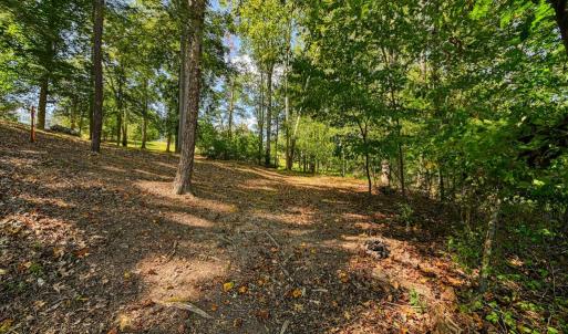 Photo #6 of 15515 CHESTNUT TREE CT, MINERAL, VA 1.1 acres