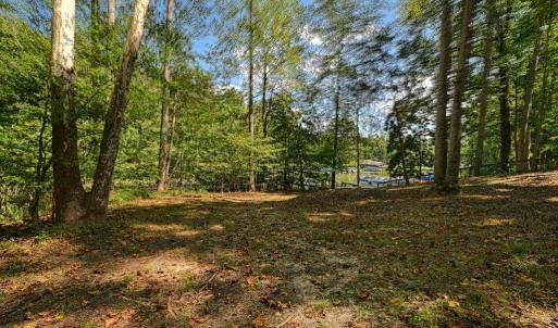 Photo #5 of 15515 CHESTNUT TREE CT, MINERAL, VA 1.1 acres