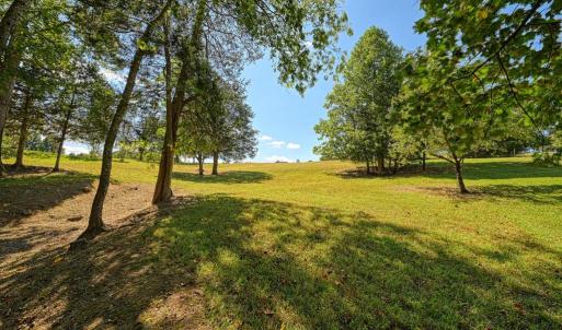 Photo #4 of 15515 CHESTNUT TREE CT, MINERAL, VA 1.1 acres
