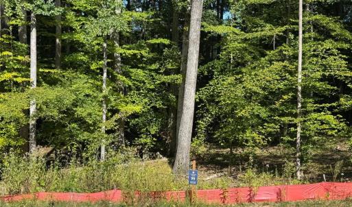 Photo #2 of PARKVIEW PL, MINERAL, VA 1.4 acres