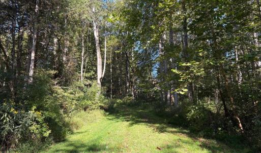 Photo #3 of PINE TORCH, MADISON, VA 3.0 acres