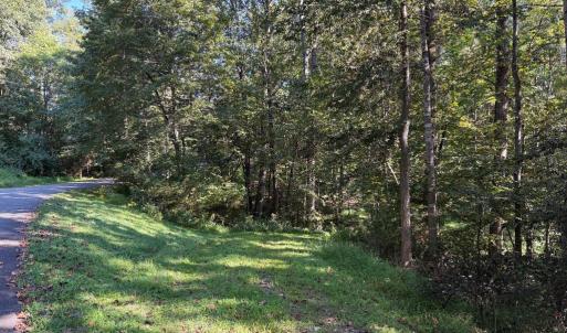 Photo #5 of PINE TORCH, MADISON, VA 3.0 acres