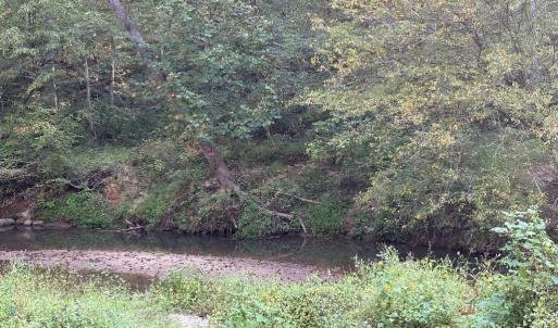 Photo #8 of PINE TORCH, MADISON, VA 3.0 acres