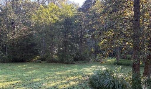 Photo #9 of PINE TORCH, MADISON, VA 3.0 acres