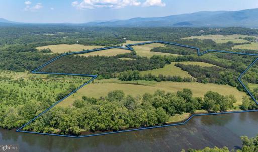 Photo #1 of CAVALIER RD, RILEYVILLE, VA 115.5 acres
