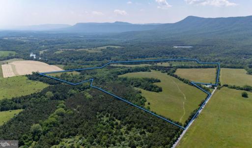 Photo #46 of CAVALIER RD, RILEYVILLE, VA 115.5 acres