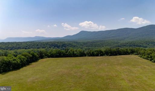Photo #54 of CAVALIER RD, RILEYVILLE, VA 115.5 acres