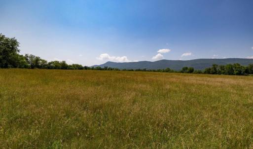 Photo #63 of CAVALIER RD, RILEYVILLE, VA 115.5 acres