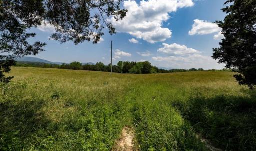 Photo #65 of CAVALIER RD, RILEYVILLE, VA 115.5 acres
