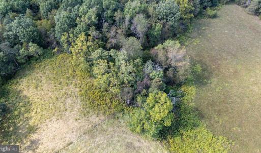 Photo #69 of CAVALIER RD, RILEYVILLE, VA 115.5 acres