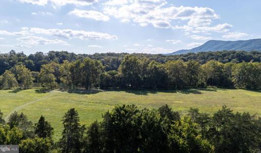 Photo #72 of CAVALIER RD, RILEYVILLE, VA 115.5 acres