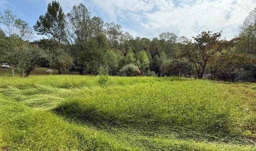 Photo #6 of 6360 THARP RD, CULPEPER, VA 2.9 acres