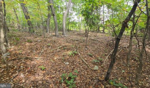 Photo #1 of LONG VIEW DR, LURAY, VA 0.9 acres
