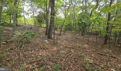 Photo #3 of LONG VIEW DR, LURAY, VA 0.9 acres