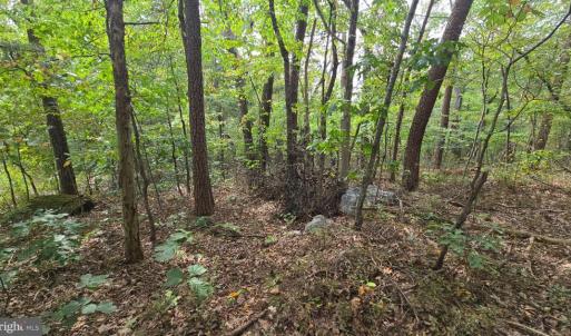 Photo #4 of LONG VIEW DR, LURAY, VA 0.9 acres